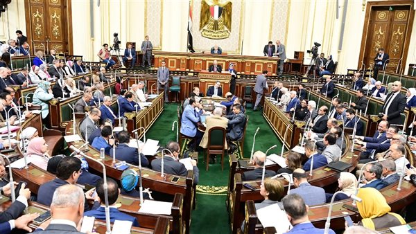 تعرف على مهام المجلس القومي للطفولة والأمومة فى القانون الجديد