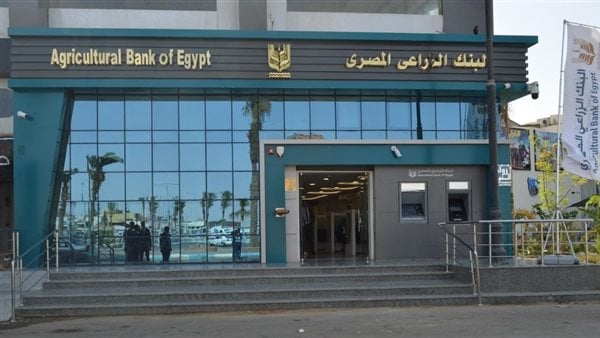 تعرف على تمويل الأبقار عالية الإنتاجية لصغار المزارعين والمربين في الشرقية من البنك الزراعي