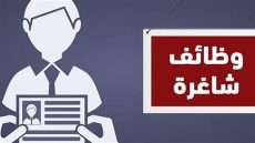 محافظة الجيزة تعلن عن وظائف شاغرة بحوافز وتأمين طبي واجتماعي