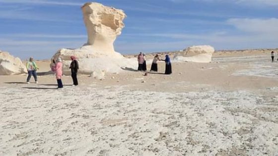 محمية الصحراء البيضاء بالوادي الجديد تستقبل 50 مشاركًا برحلات “اعرف بلدك” (صور)