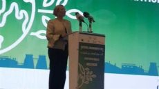 وزيرة البيئة تكشف صاحب فكرة الاحتفال بيوم البيئة الوطني