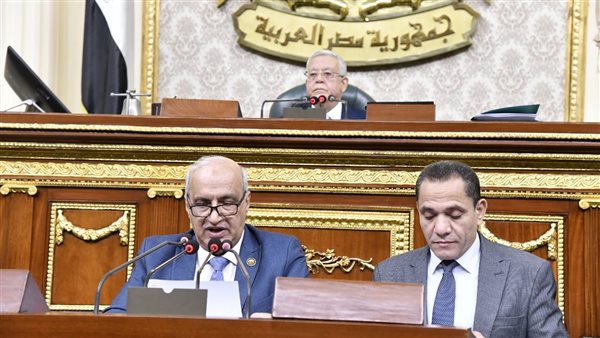 غياب نائب محافظ البحيرة عن اجتماع «محلية البرلمان» يشغل غضب النواب.. 22 طلب إحاطة ينتظرون المناقشة في المجلس.. وشكاوى من ضعف تواصل نهال بلبع مع ممثلي الشعب