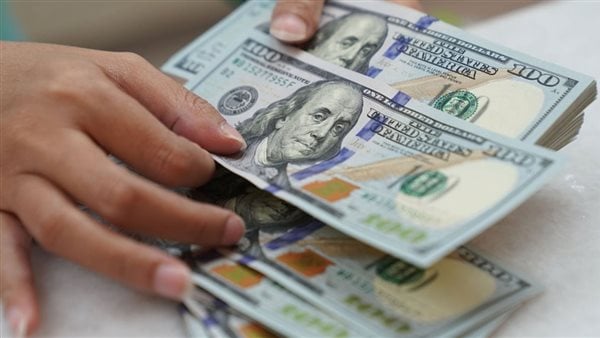 سعر الدولار مقابل الجنيه اليوم السبت 20-1- 2024 في مصر