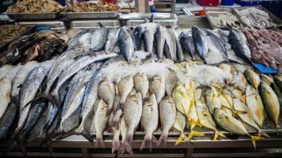 تباين أسعار الأسماك اليوم الإثنين في سوق العبور