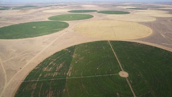 يمنح الأجانب حق التملك، النص الكامل لتعديلات قانون الأراضي الصحراوية