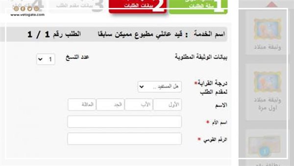 الخطوات والأوراق المطلوبة لاستخراج قيد عائلي إلكترونيا 2024 (إنفوجراف)