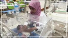 خرجت للحياة بعد استشهاد أمها، أحدث المواليد في غزة (فيديو)