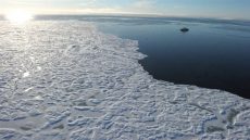 مصدره فيروسات “قديمة” بالقطب الشمالي، وباء جديد يهدد بفناء البشر