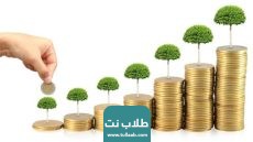 مستقبل الاستثمار مع ليرات: إطلاق خطط استثمارية مبتكرة لعام 2024