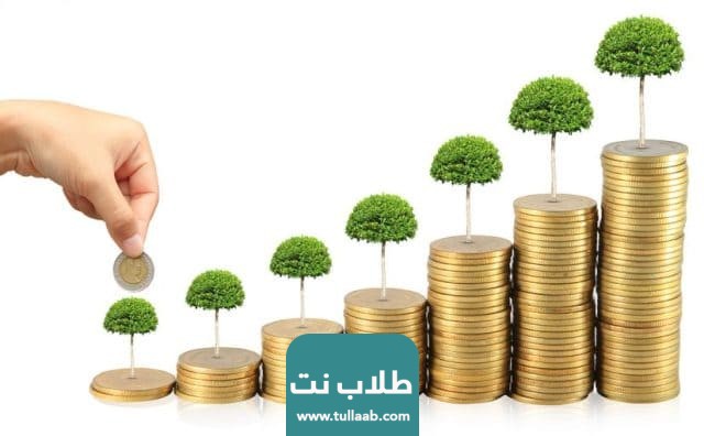 مستقبل الاستثمار مع ليرات: إطلاق خطط استثمارية مبتكرة لعام 2024