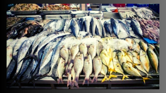 تباين أسعار الأسماك اليوم الإثنين في سوق العبور