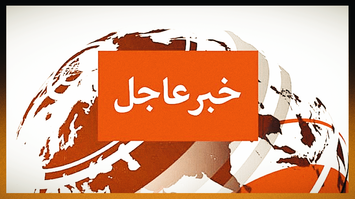 من هو خطيب ليلى احمد زاهر ويكيبيديا