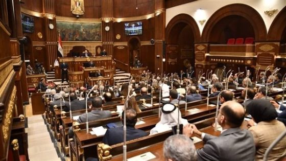 ضوابط رفع الحصانة عن نواب الشيوخ بعد رفض طلب ضد عاطف النمكي