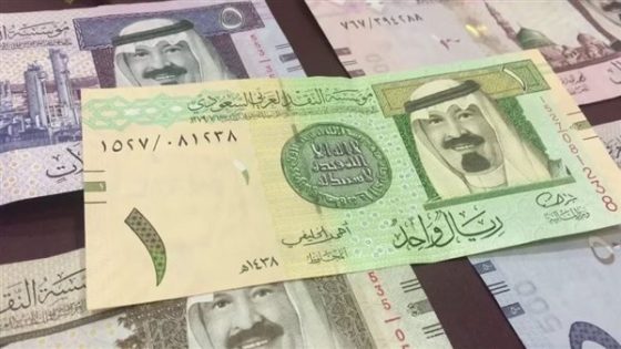 سعر الريال السعودي اليوم الأحد 11-2-2024 في بداية التعاملات