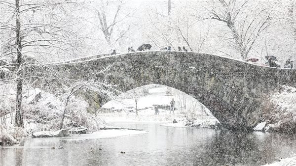 ثلوج “غير مسبوقة” تغلق المدارس وتعوق التنقل في نيويورك (صور)