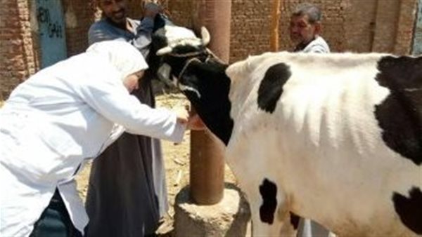نشاط الزراعة في أسبوع، قوافل بيطرية بالمحافظات ومتابعة دورية للمحاصيل الشتوية