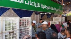 إقبال المواطنين على شراء السلع بمعارض أهلا رمضان في الإسماعيلية (صور)