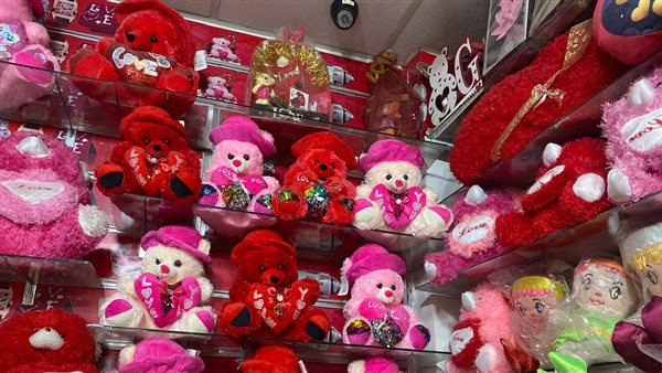 ننشر أسعار الدباديب وهدايا عيد الحب 2024 بالأسواق