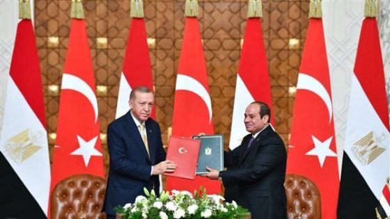 17 تصريحا من الرئيس السيسي بشأن العلاقات مع تركيا (إنفوجراف)