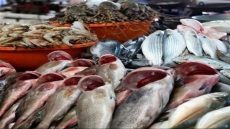 أسعار الأسماك اليوم الجمعة 16-2-2024 في الدقهلية
