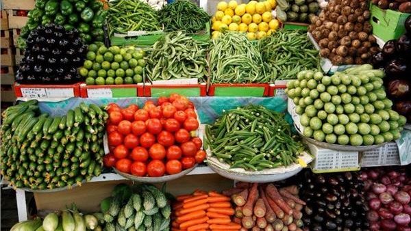 المزارع بتخسر وخايف يجي علينا يوم يبقى كيلو الطماطم بـ100 جنيه