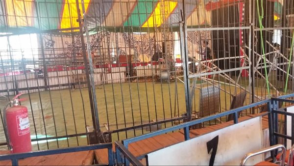 بعد حادث انهيار مدرج السيرك بالطلاب.. وكيل تعليم الوادي الجديد يطمئن أولياء الأمور