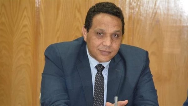 يختلف عن جنوب إفريقيا، عضو بـ”القومي حقوق الإنسان” يكشف تأثير تحرك مصر أمام العدل الدولية ضد إسرائيل