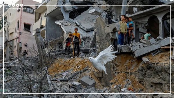 ارتكاب 19 نوعا من الجرائم ضد الإنسانية بالقطاع