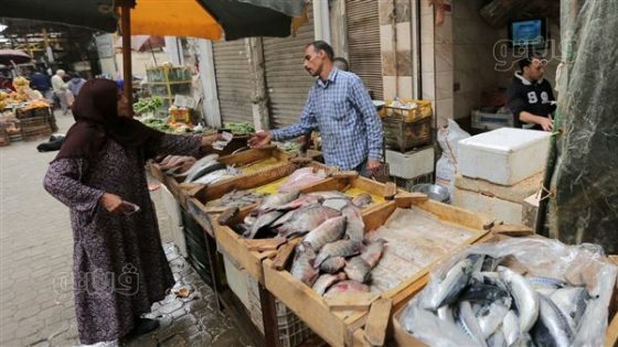 أسعار الأسماك اليوم، سعر البلطي يواصل الانخفاض مع ارتفاع البوري بسوق العبور