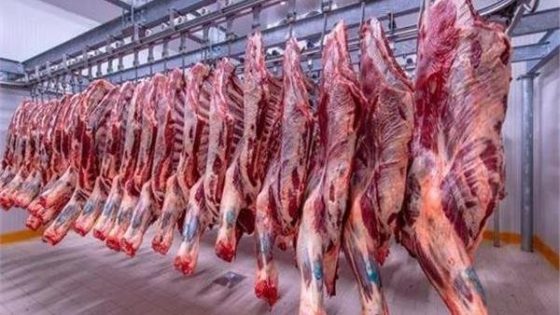 نصائح لتجنب غش التجار أثناء شراء اللحوم وكيفية التأكد من سلامتها