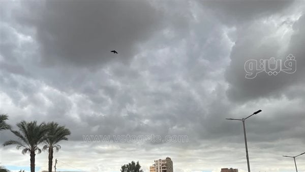 تكاثر للسحب الممطرة على السواحل الشمالية