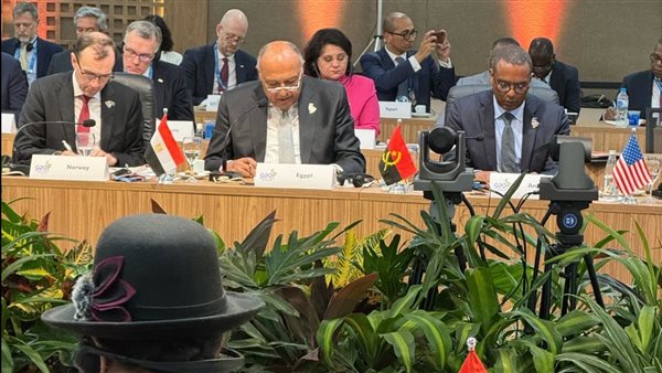 حرب غزة الأكثر دموية في التاريخ العسكري المعاصر ويجب منع إسرائيل من أي تحرك في رفح