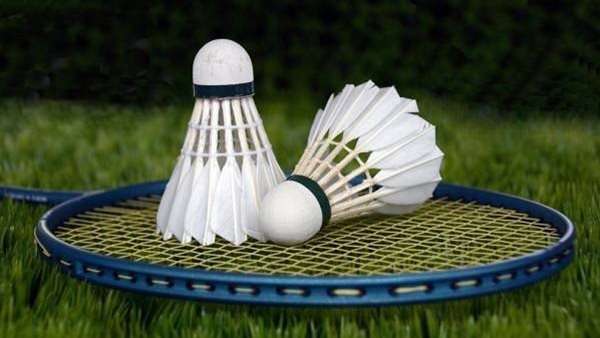 الريشة الطائرة، 11 دولة تؤكد مشاركتها في بطولة أفريقيا بالقاهرة