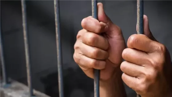 حبس عاطلين بتهمة سرقة الهواتف المحمولة في أوسيم