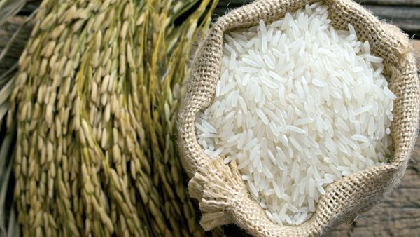 مافيا احتكار الأرز تضع «التموين» فى ورطة.. مطالبات للجهات الرقابية بسرعة التدخل ومحاسبة المحرضين على رفع الأسعار