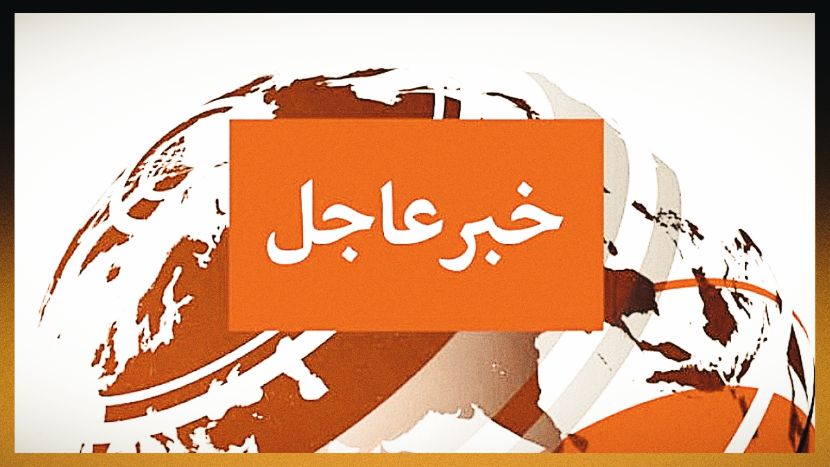 بقصد الاحتكار، ضبط أكثر من 1100 طن مخزنة في الإسكندرية والشرقية (صور)