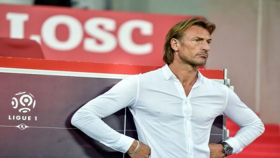 هل يتولى هيرفي رينارد تدريب منتخب مصر؟ ,