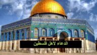 دعاء يوم الجمعة لنصرة فلسطين ودعم القضية الفلسطينية