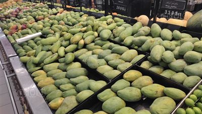 رسالة قصيرة