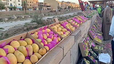 رسالة قصيرة