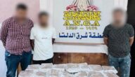 ضبط 3 عناصر إجرامية بحوزتهم كميات من مخدرى الحشيش والشابو بمليون جنيه بالدقهلية