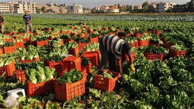 رسالة قصيرة