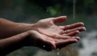 تفسير رؤية الدعاء تحت المطر في المنام وعلاقتها بالتخلص من المشكلات