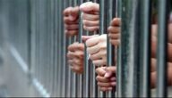 حبس تشكيل عصابي لتجارة المخدرات في الإسماعيلية