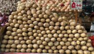 لو وقفنا تصدير البطاطس سعر الكيلو هيبقى بـ2 جنيه وهذا موعد انخفاض أسعارها