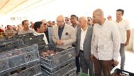 محافظ بني سويف يتفقد منفذ بيع خضروات وفاكهة الصوب بأسعار مخفضة