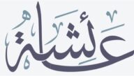 زوجات النبي ﷺ، عائشة بنت أبي بكر ثالث زوجاته وأكثرهن محبة لقلبه
