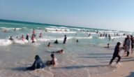 إقبال كثيف على شواطئ الإسكندرية في الإجازة الأسبوعية (صور)