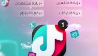 أفضل خدمة زيادة متابعين تيك توك في 2024