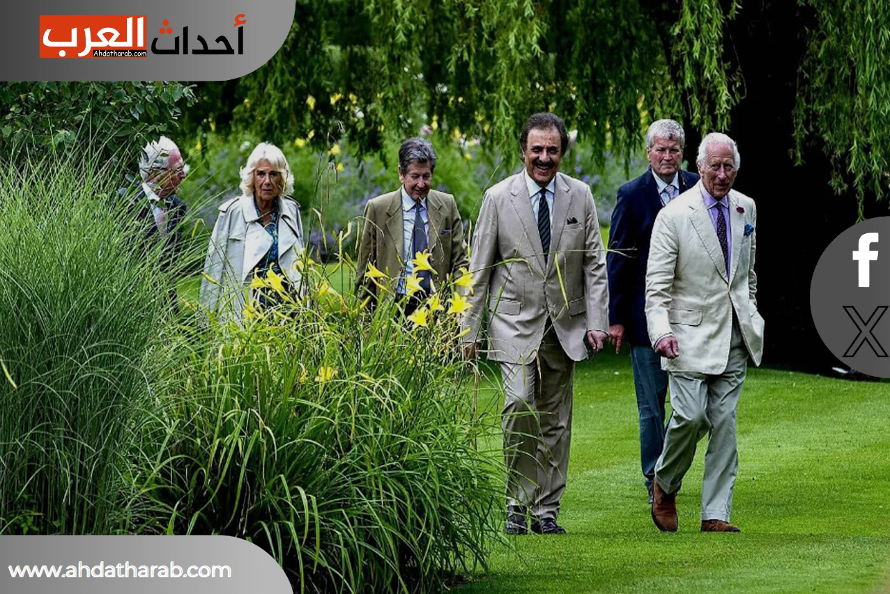 الملك تشارلز